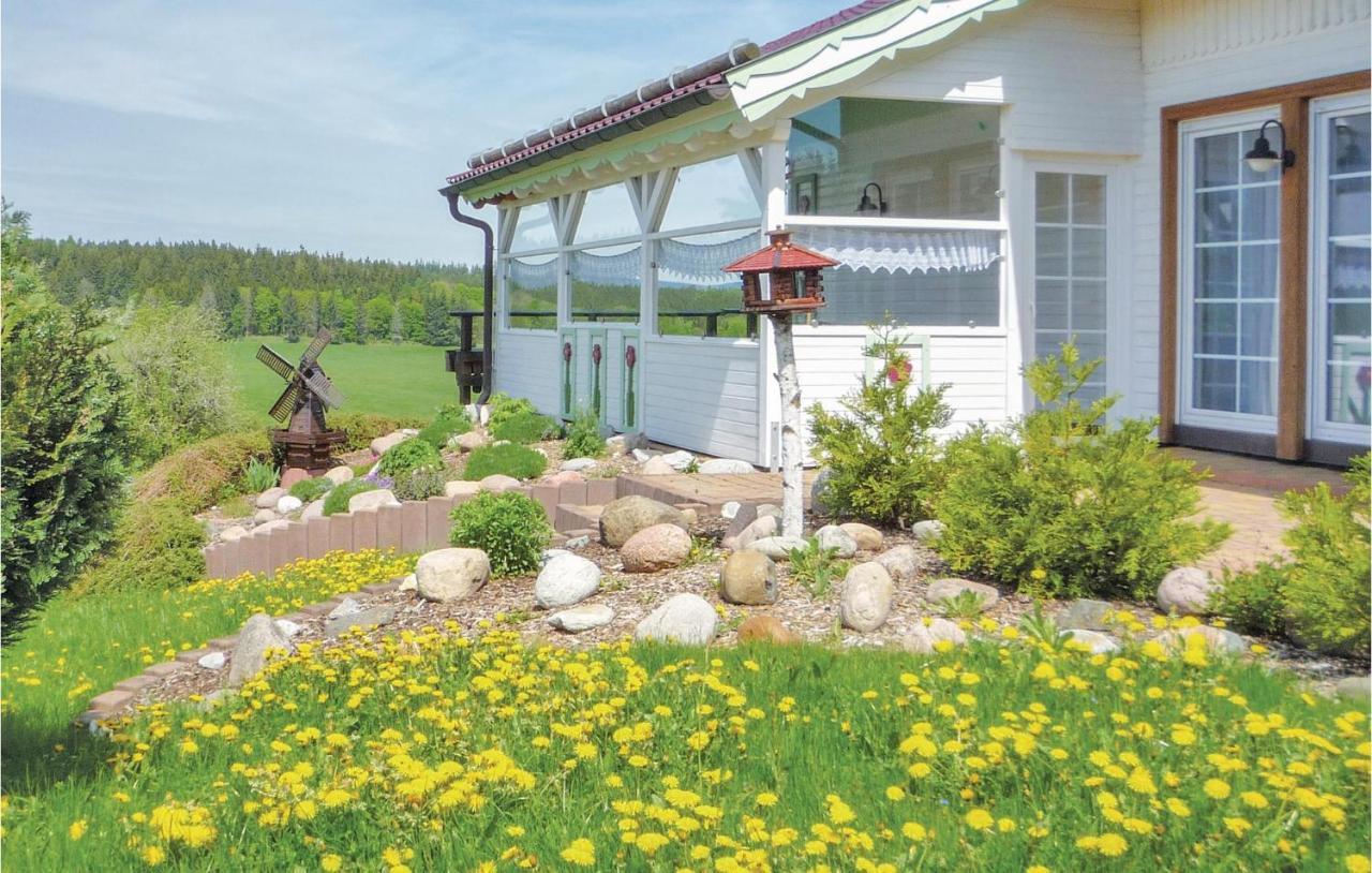 Villa Galerie Haus Braunlage Esterno foto