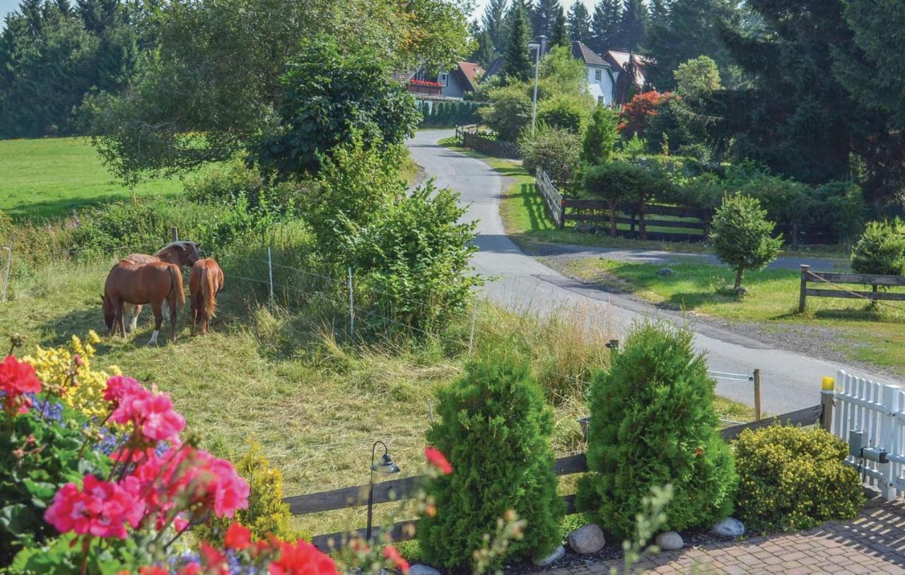 Villa Galerie Haus Braunlage Esterno foto