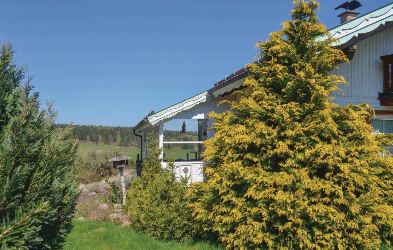Villa Galerie Haus Braunlage Esterno foto